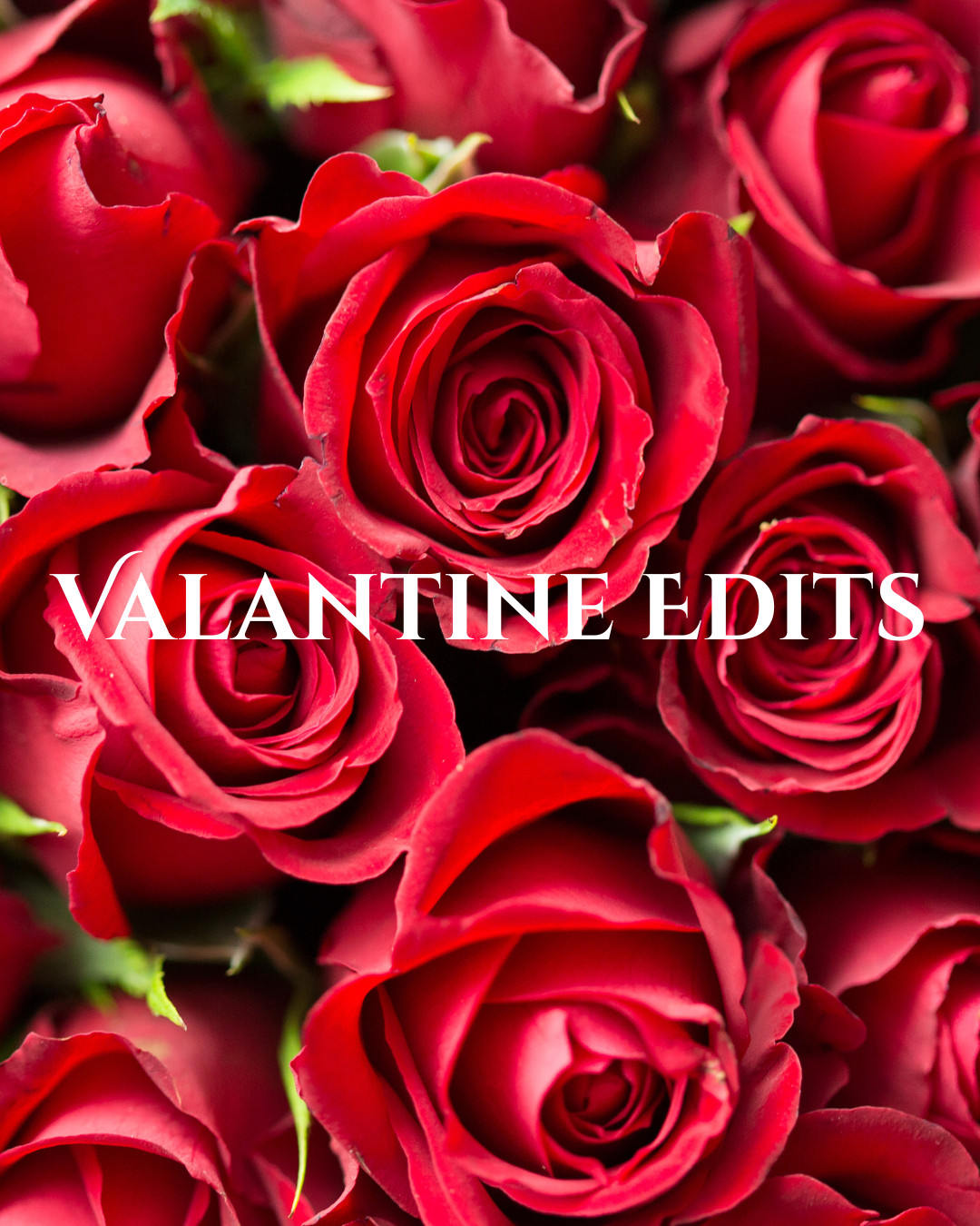 The Valentine Edit ⭐